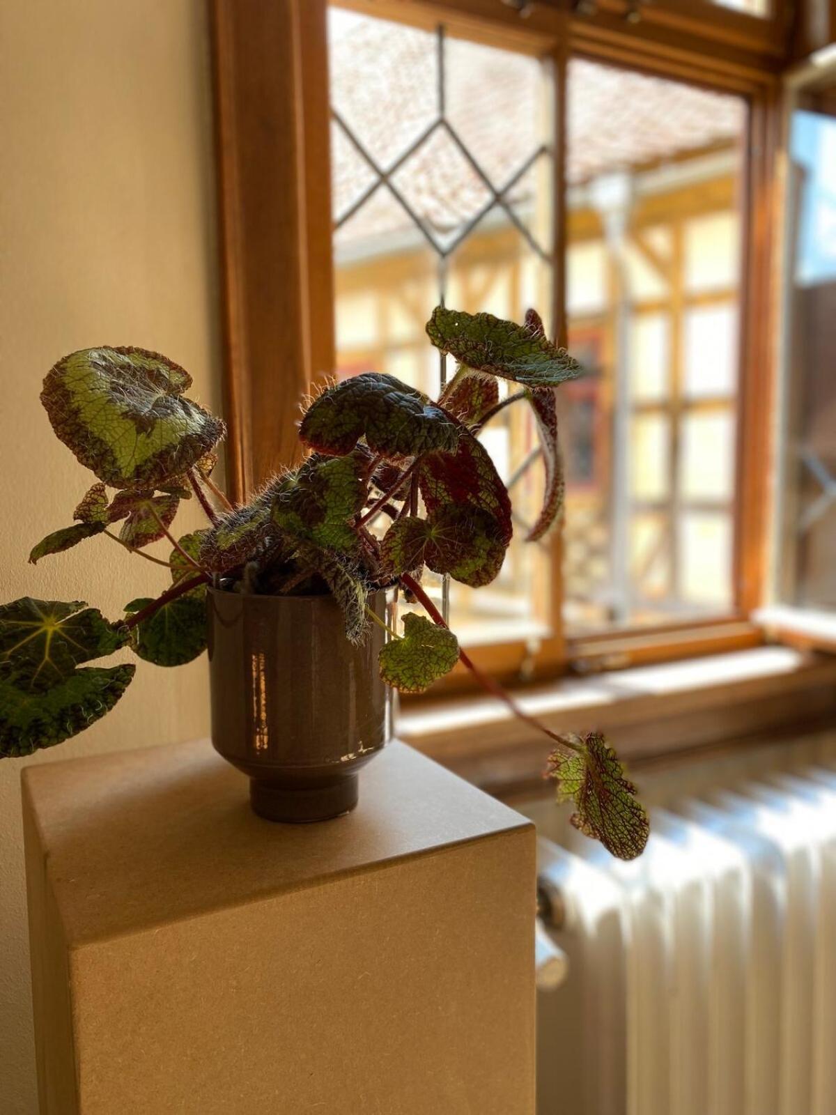Urlaub Im Wasserschloss Irmelshausen Hochheim Kamer foto